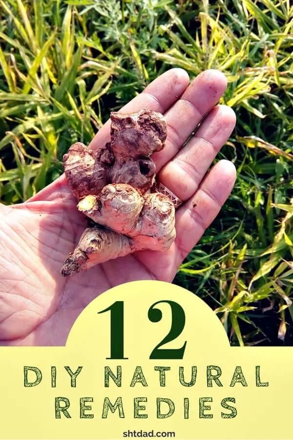 12 DIY Natural Remedies You Should Know About 12 12 DIY Natural Remedies - It will be critical survival advantage to understand and identify DIY natural remedies even if you think you will never need them.