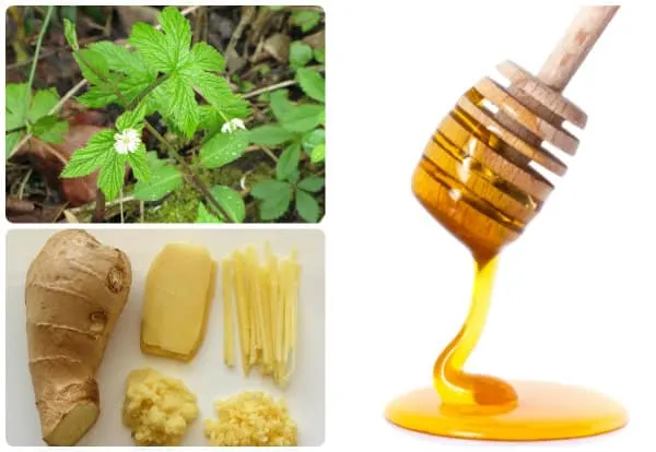 12 DIY Natural Remedies - It will be critical survival advantage to understand and identify DIY natural remedies even if you think you will never need them.