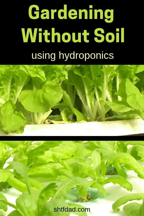 Gardening Without Soil Using Hydroponics - A Complete Guide 6 Gardening without soil (also known as hydroponics) is something all preppers need to learn. Learning how to grow food indoors could keep your family well fed in times of uncertainty. Learn the basics of soilless gardening here. #hydroponics #soillessgardening #indoorgardening #shtfdad #prepping #survival #preparedness