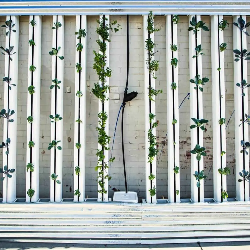  Hydroponic Gardening