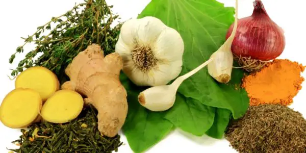 All natural antibiotics