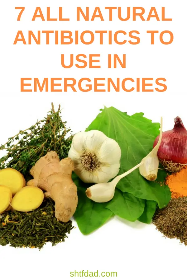 7 All Natural Antibiotics To Use In Emergencies