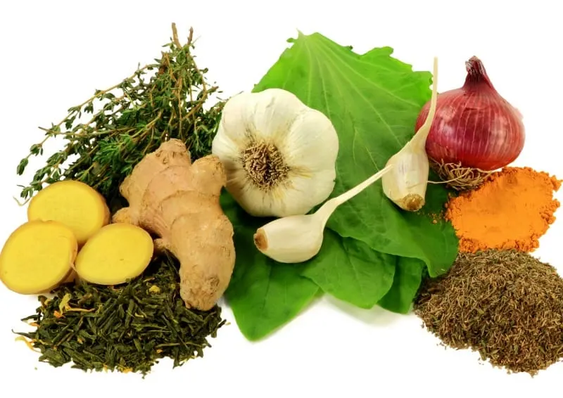 7 All Natural Antibiotics To Use In Emergencies 1 All natural antibiotics