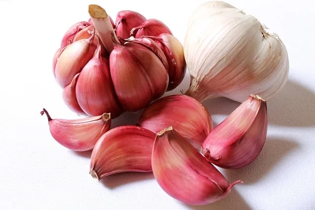 7 All Natural Antibiotics To Use In Emergencies 2 Garlic