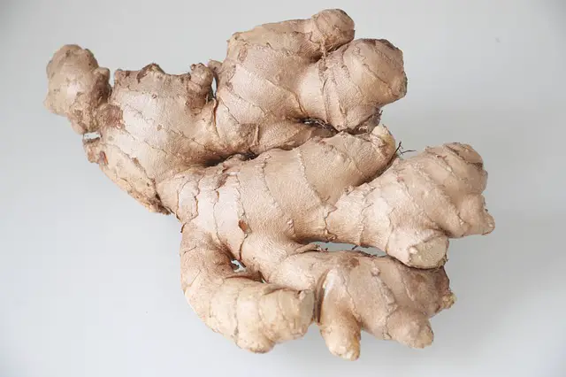 Ginger roots