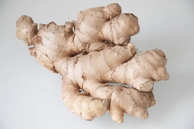7 All Natural Antibiotics To Use In Emergencies 3 Ginger roots