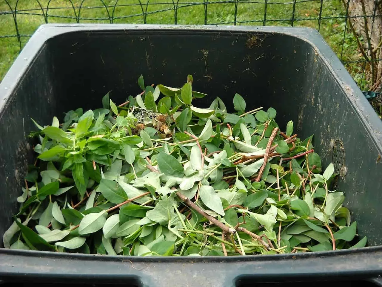 Dust to Dust: Time to Get Composting -- Understanding the complete cycle of how to grow your own food for your family is crucial to the basics of survival, and is a great aspect of personal growth. Humans are a part of nature, but the connection between people, especially those in the west, and the food they eat, has been severed. It's time to remind ourselves of that connection.