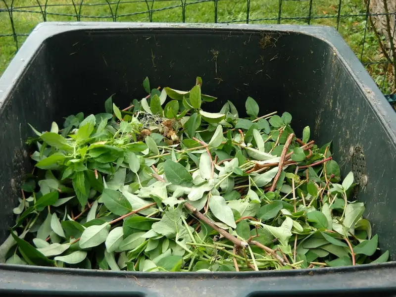 Compost bin