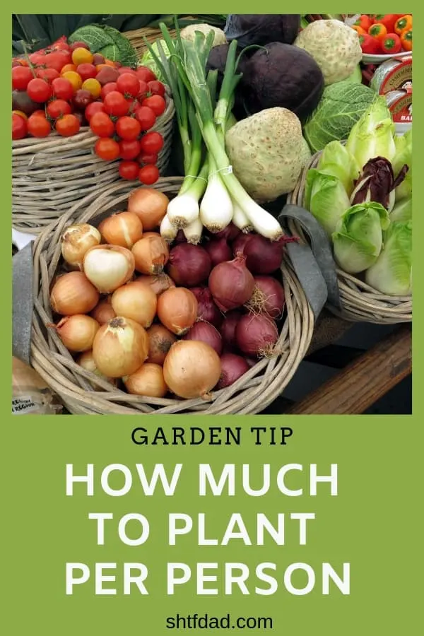 Do you wonder how much to plant per person in your home garden? Stop guessing and use our chart to plan your garden. #gardening #homesteading #gardenplanning #organic #harvestplanning #shtfdad