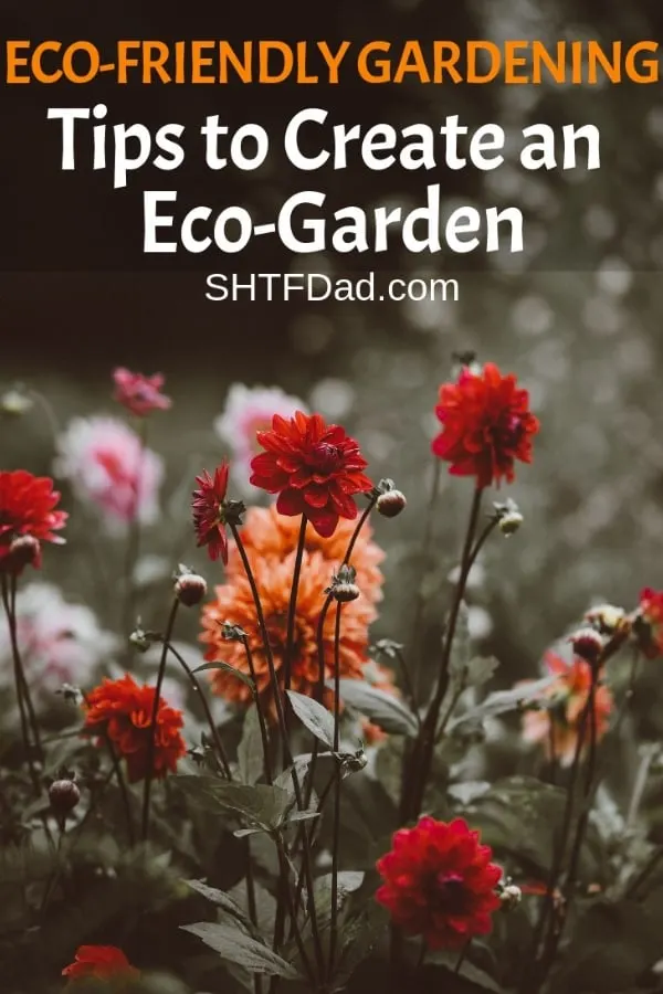 Eco friendly gardening is great for both you and the planet. You can save money and help the environment at the same time. #ecofriendlygardening #gardeningtips #environmentalism #shtfdad