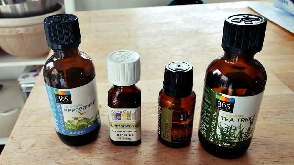 Essential oils you can use to treat your bees - How To Start Beekeeping For Beginners - Want to keep bees on your homestead? Here's how to start beekeeping for beginners: all you need to know to be successful keeping bees.
