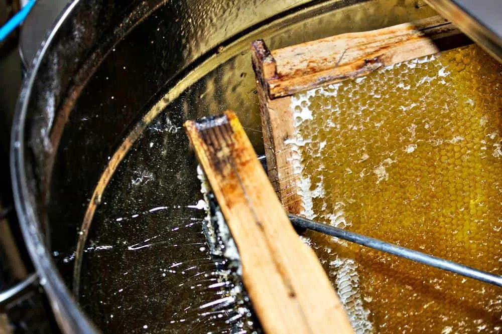 Harvesting honey - How To Start Beekeeping For Beginners - Want to keep bees on your homestead? Here's how to start beekeeping for beginners: all you need to know to be successful keeping bees. Harvesting honey - How To Start Beekeeping For Beginners - Want to keep bees on your homestead? Here's how to start beekeeping for beginners: all you need to know to be successful keeping bees.