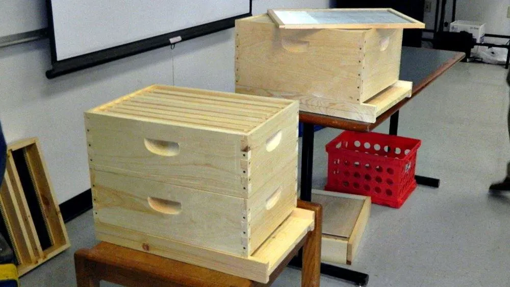The Langstroth Hive - How To Start Beekeeping For Beginners - Want to keep bees on your homestead? Here's how to start beekeeping for beginners: all you need to know to be successful keeping bees. The Langstroth Hive - How To Start Beekeeping For Beginners - Want to keep bees on your homestead? Here's how to start beekeeping for beginners: all you need to know to be successful keeping bees.