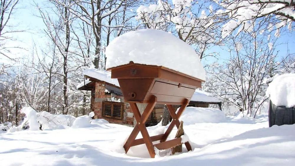 Top Bar Hive in Winter & Snow - How To Start Beekeeping For Beginners - Want to keep bees on your homestead? Here's how to start beekeeping for beginners: all you need to know to be successful keeping bees.