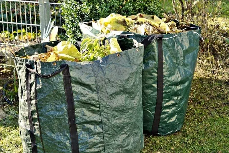 Make Sure to Remove Fallen Fruit and Prune Prune your Garden - Preparing Your Garden For Winter