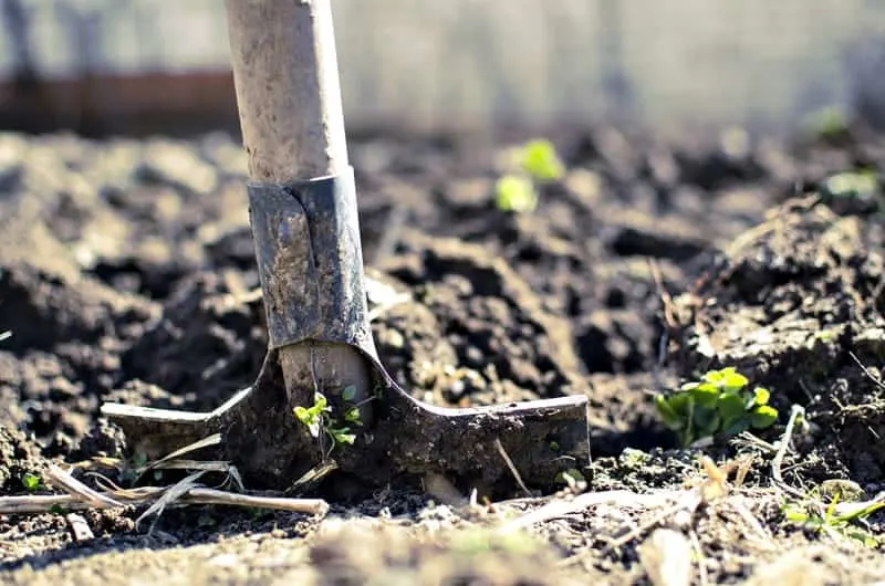Amend the Soil - Preparing Your Garden For Winter