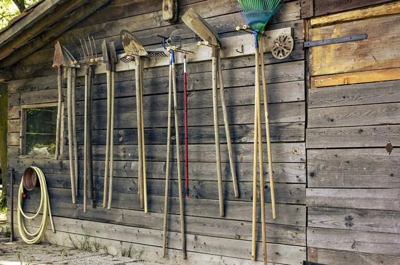 Clean And Sharpen Your Garden Tools Clean And Sharpen Your Garden Tools - Preparing Your Garden For Winter