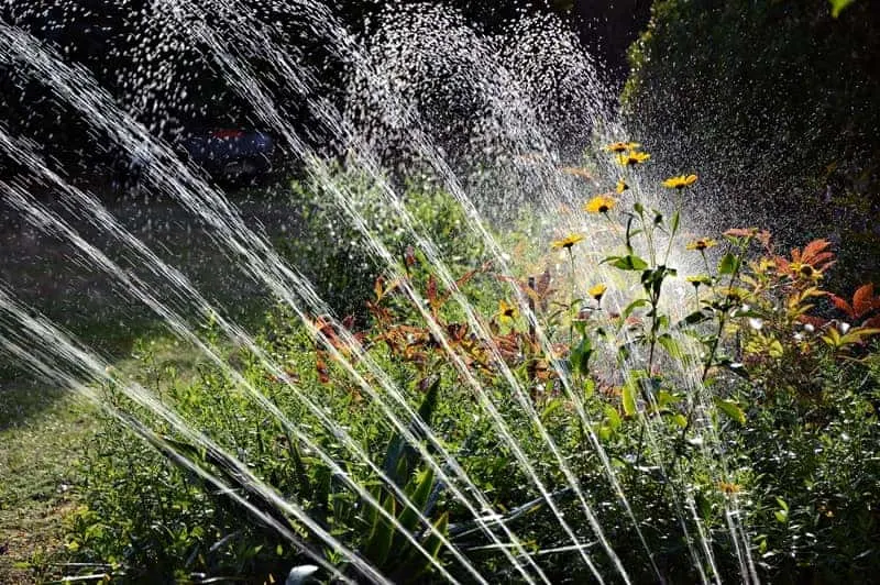 Final Watering - Preparing Your Garden For Winter