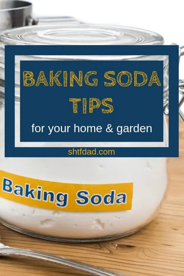 Baking soda has lots of great uses for home and garden. Here are 13 baking soda tips you'll be glad to know: from scrubbing, to odor removal, and getting rid f ants and slugs. #bakingsoda #homecleaning #naturalhome #gardening #preparedness #shtfdad 