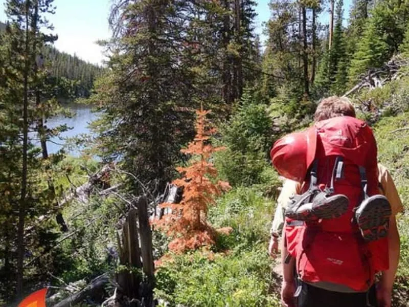 Young man hiking in the woods