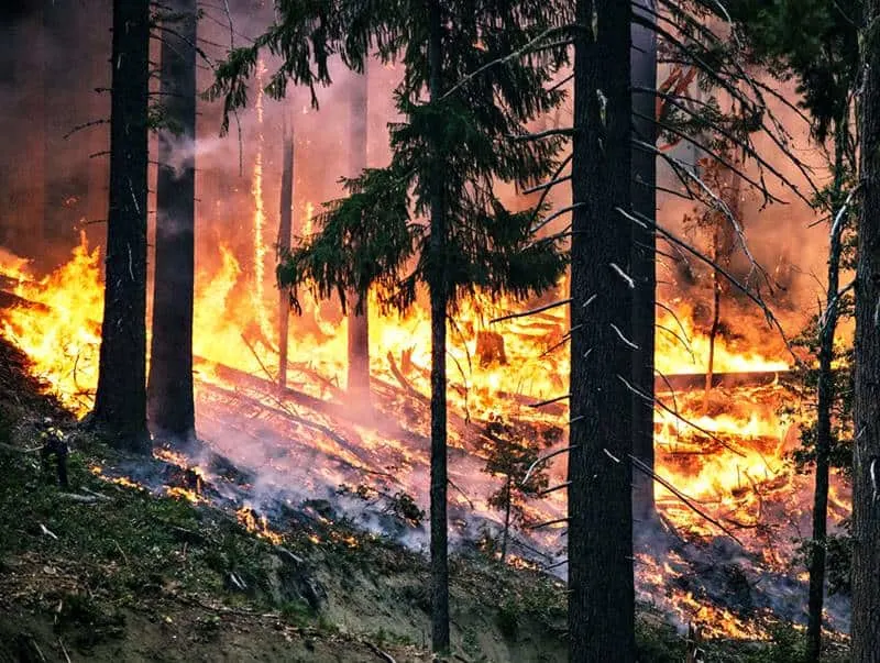 How to Prepare For Climate Change - 5 Ways To Keep Your Home And Family Safe 1 Preparing for climate change will help you survive the worst and keep your family safe and together. Here are 5 things to do to prepare.