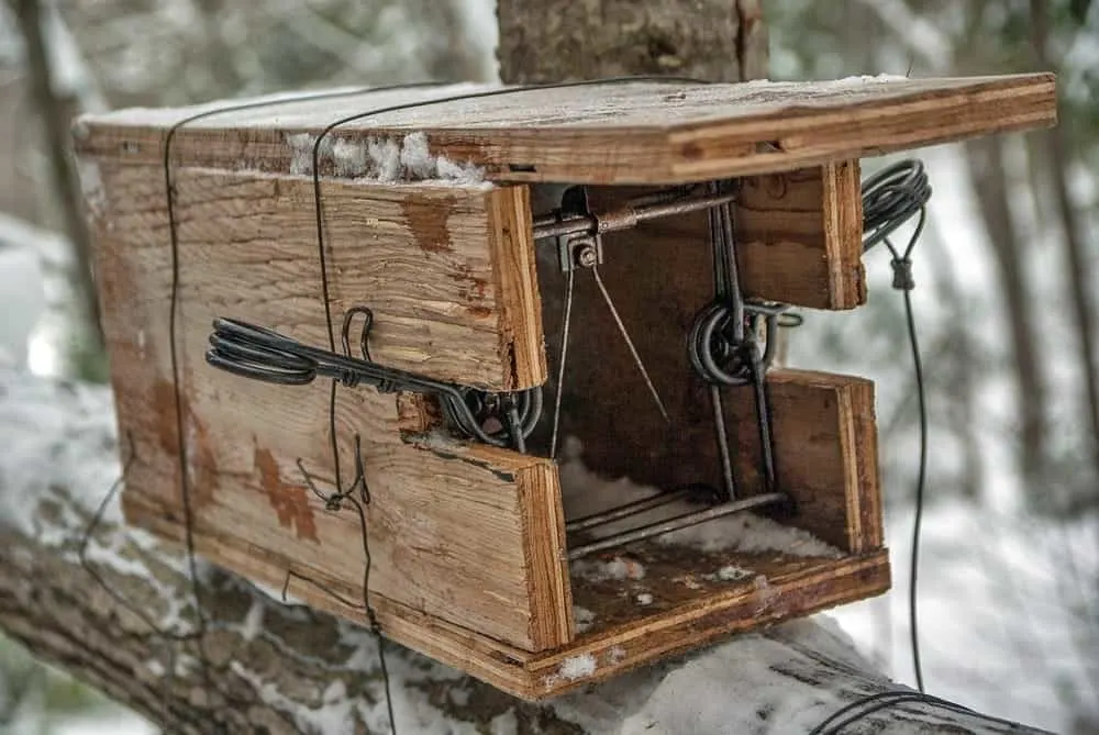 Hunting Wood and metal offer some contrasting benefits in a survival scenario where things like repeatability, weight, and efficiency could mean your life!