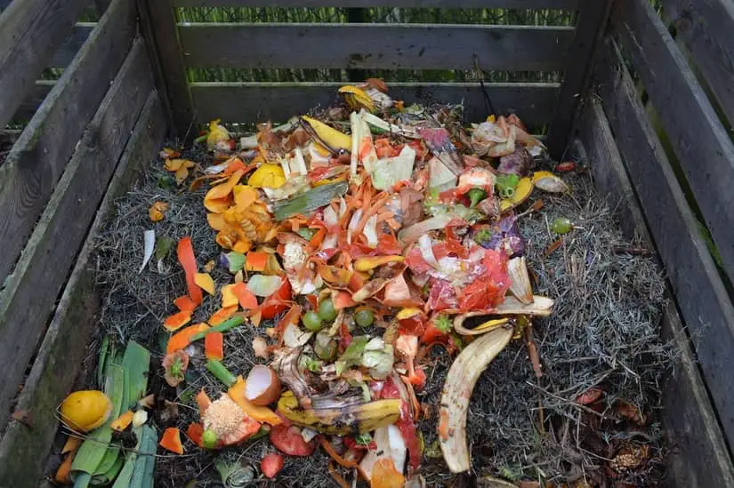 composting garden and kitchen waste