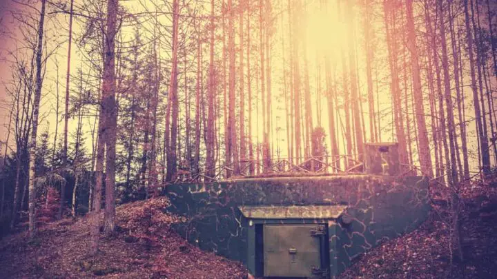 bunker in the woods