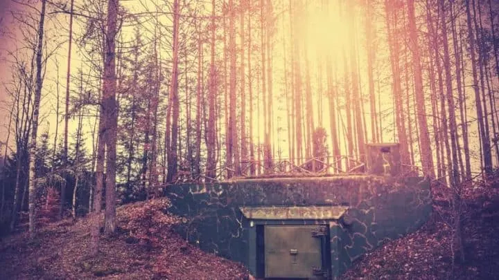 bunker in the woods