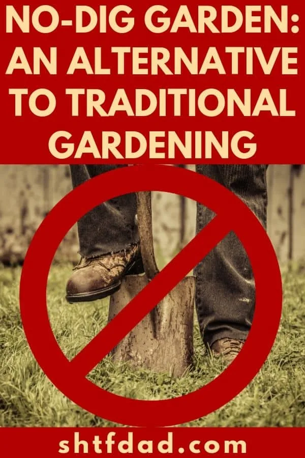 If you have a bad back or just want to avoid the hassle of digging when gardening, then just start a 
