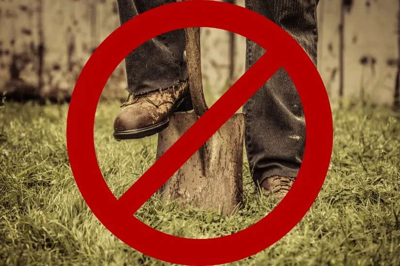 No Dig Garden: Suitable Alternative to Traditional Gardening 1 "no-dig" gardening, a sustainable alternative to traditional gardening