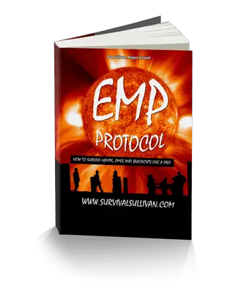 emp electromagnetic survival course