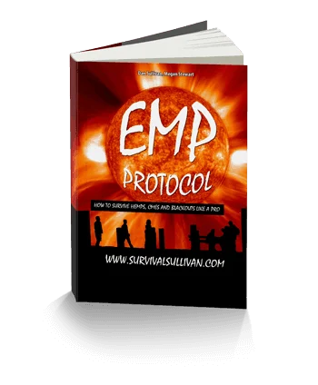 emp electromagnetic survival course