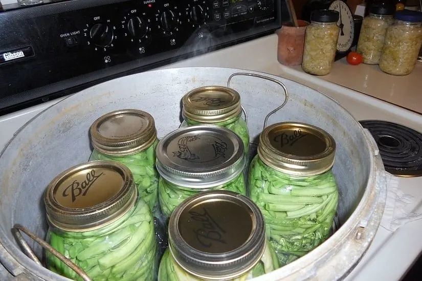 Green beans in a pressure cooker