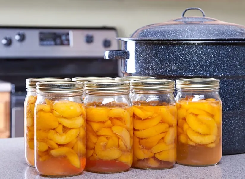 Pressure Canning: A Step-by-step Guide for Beginners 4 Canned peaches with large pot or canner