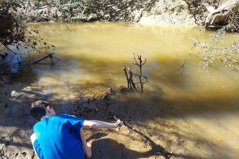 What is a Fish Trap for Survival? A Survival Fish Trap Guide 4 gathering sticks