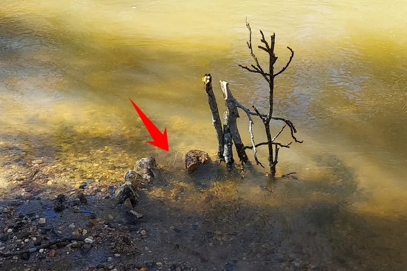 What is a Fish Trap for Survival? A Survival Fish Trap Guide 3 building the survival fish trap entrance