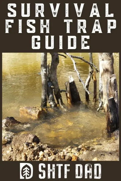 Survival Fish Trap Guide Best and Easy Primitive Traps (+ Photos/Video