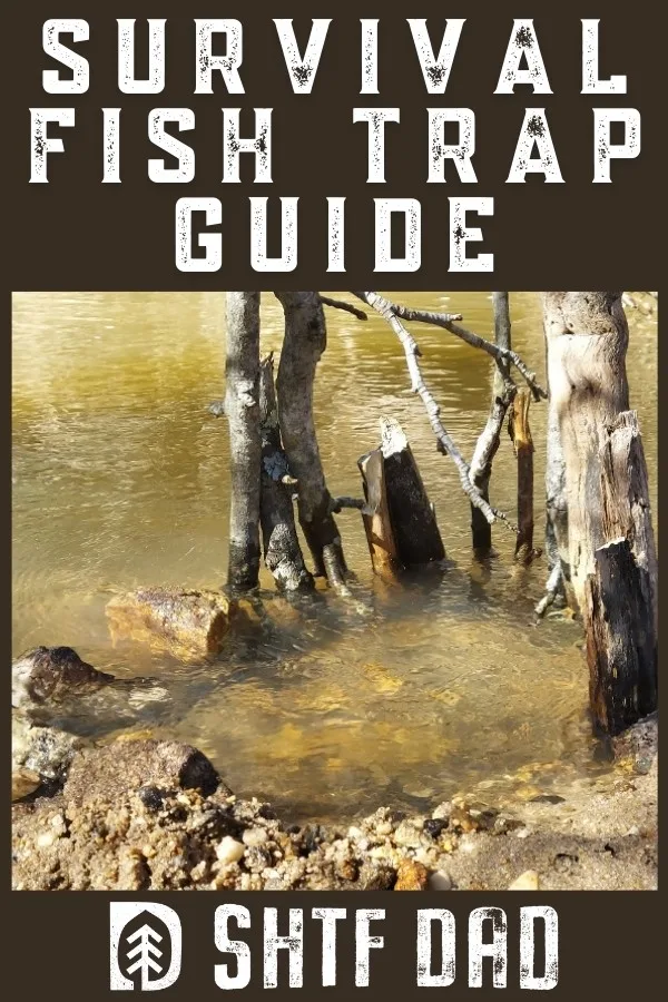 This survival fish trap guide is going to open your eyes to a survival food source that is captive and can be had through simplistic traps.