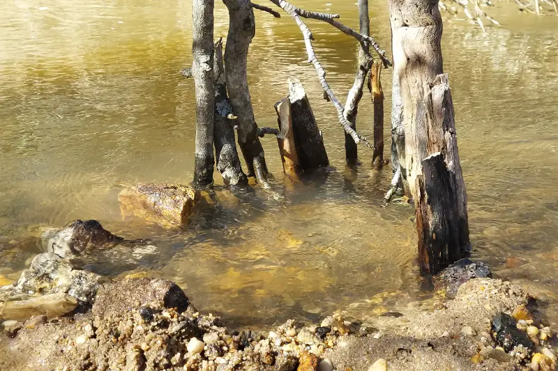 stone and stick weir survival fish trap