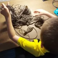 survival cord project