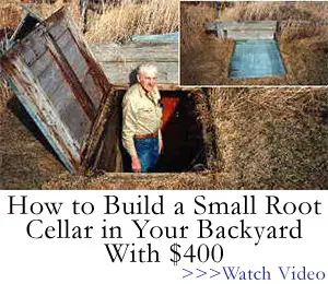 How To Build a Small Root Cellar in Your Backyard with $400