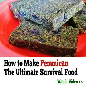 How To Make Pemmican The Ultimate Survival Food