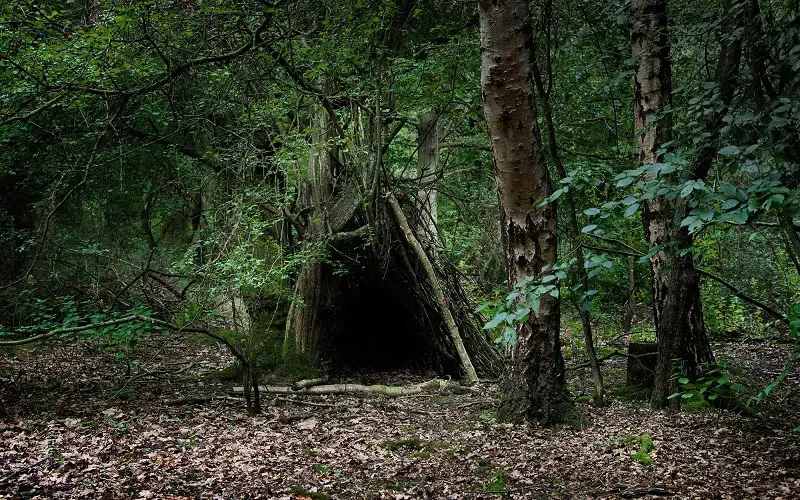 Simple shelter made fromfallen wood and branches