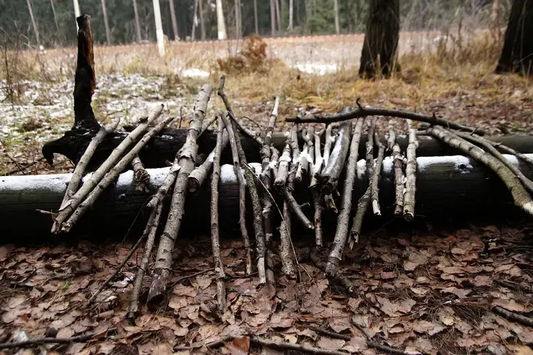 Gather branches for bow and arrows