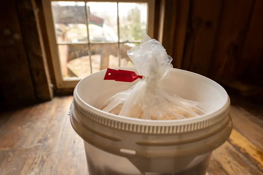 Storing Food in Buckets for Long-Term Preservation: Practical Guide