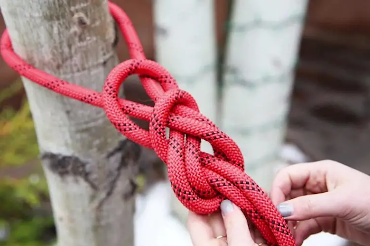 Learn knotting skills