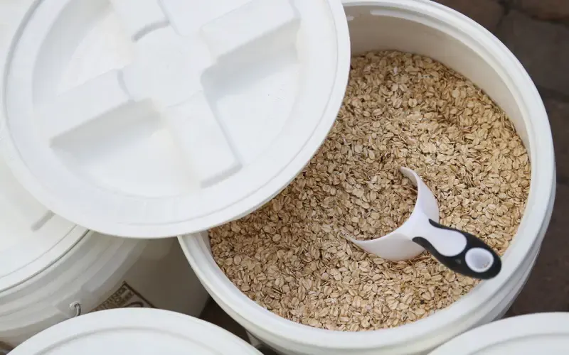 Oats for long term storage in plastic buckets